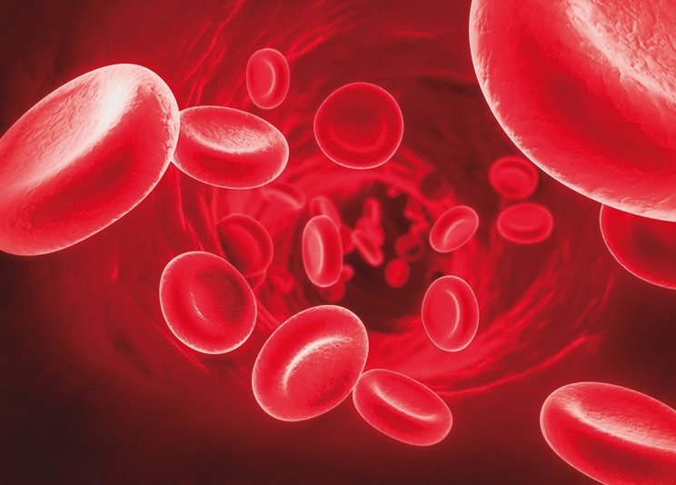 Una copa de vino a su salud