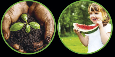 La nueva gastronomía saludable, solidaria, sostenible y satisfactoria