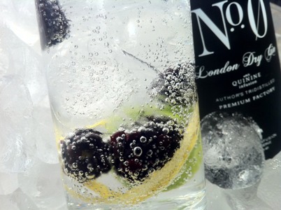 Siete trucos y 2 recetas para un gin tonic perfecto