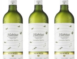 Vinos ecológicos: en armonía con el ambiente