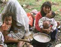 FAO urge cambiar patrones actuales de consumo de alimentos     