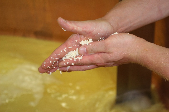 Quesos de Suiza: el placer más natural