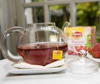 Diez dudas sobre el té 