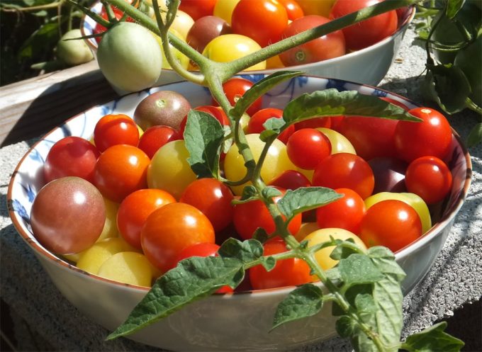 Alemania es líder mundial en el lanzamiento de productos ecológicos