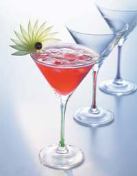 Las familias de los cocteles