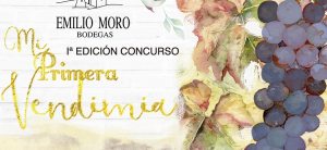 Los alumnos del IES José Jiménez Lozano y el Colegio Rural Agrupado (CRA) Antonio de Nebrija, son los ganadores de la Primera Edición del Concurso "Mi Primera Vendimia"