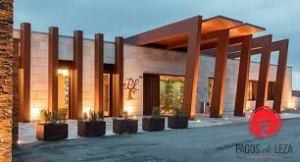  Comer en bodega: una experiencia única en Pagos de Leza