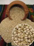 Quinua, el verdadero oro de los incas