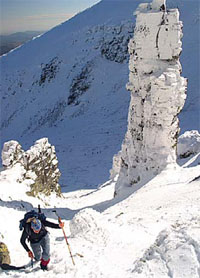 La Ruta de la Garnacha quiere atraer más turistas