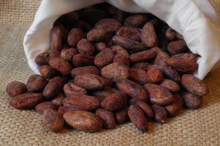 La impronta del cacao en la diversidad cultural de Baracoa