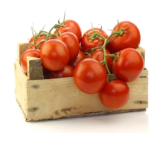 Países Bajos, el mayor exportador de tomate del mundo