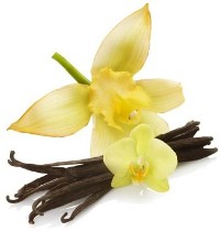 Doña Vainilla: aroma en manos de mujer