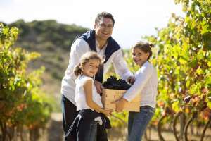 Villa-Lucía organiza varias actividades en torno a la vendimia en Rioja Alavaesa