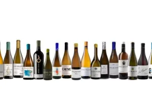 vinos de pasto Jerez