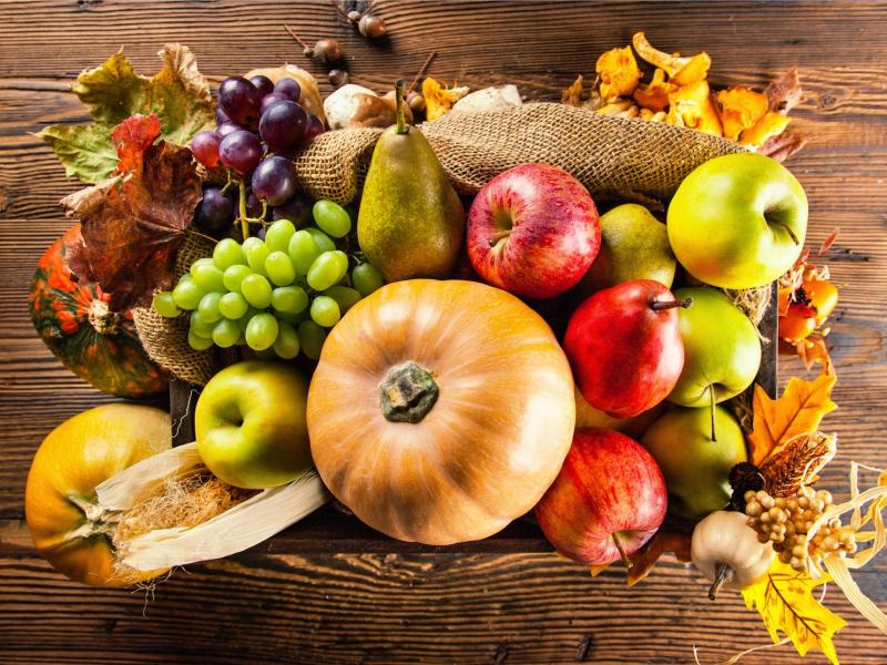 otoño-alimentos