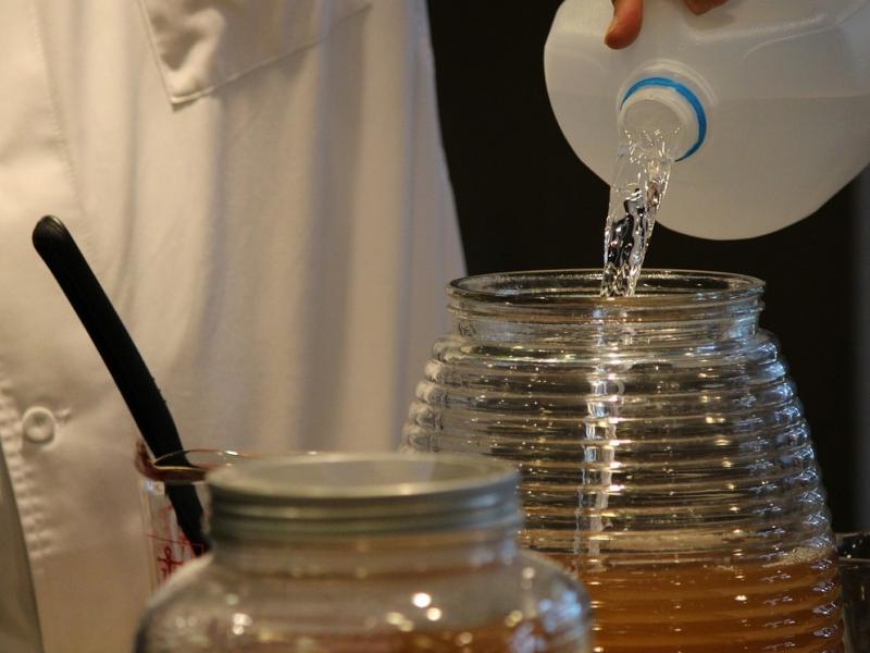 kombucha