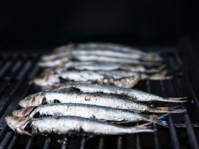 Recetas con pescado