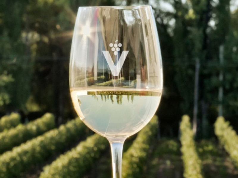 vinitech sifel burdeos 2024