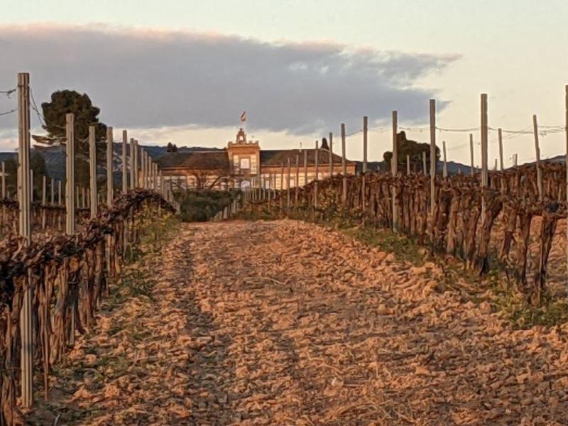 Bodegas La inglesa