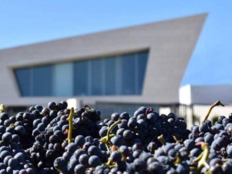 Capital europea del vino 2025