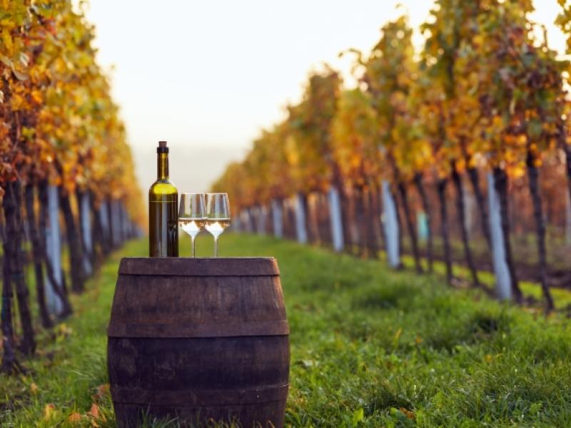 vino de naranja