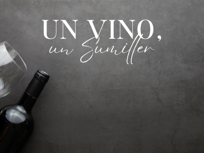 Vino sumiller