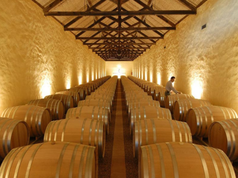 bodega de la cooperativa de Palmela