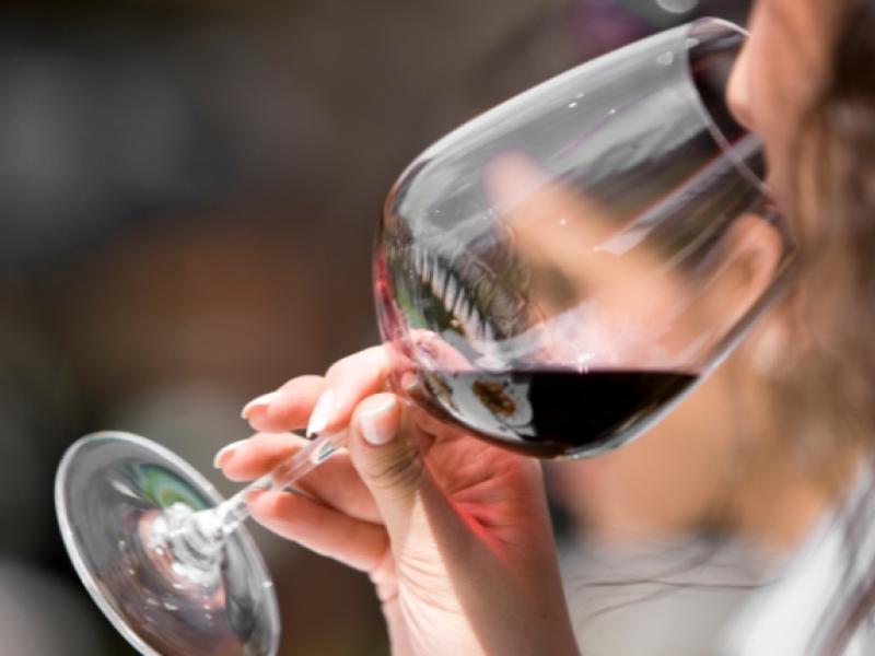amsterdam-wine-festival-2025