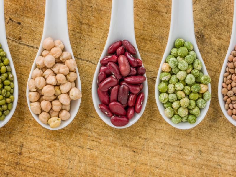 legumbres-proteina-dieta