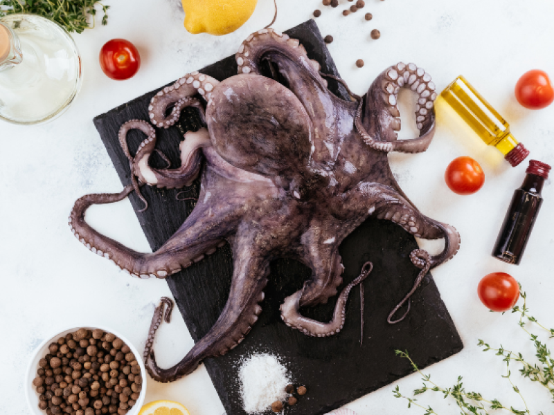 pulpo