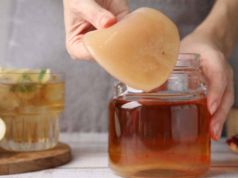 elaborar kombucha
