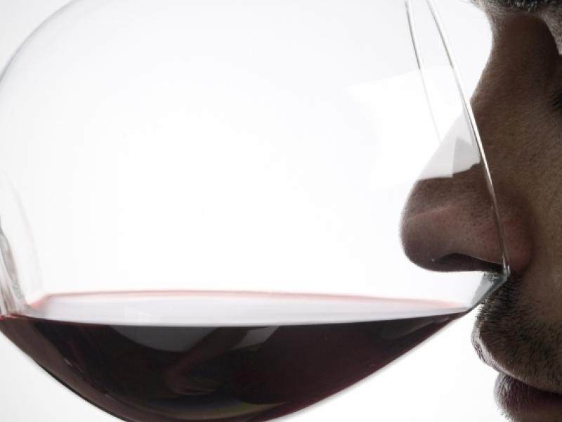 aromas del vino