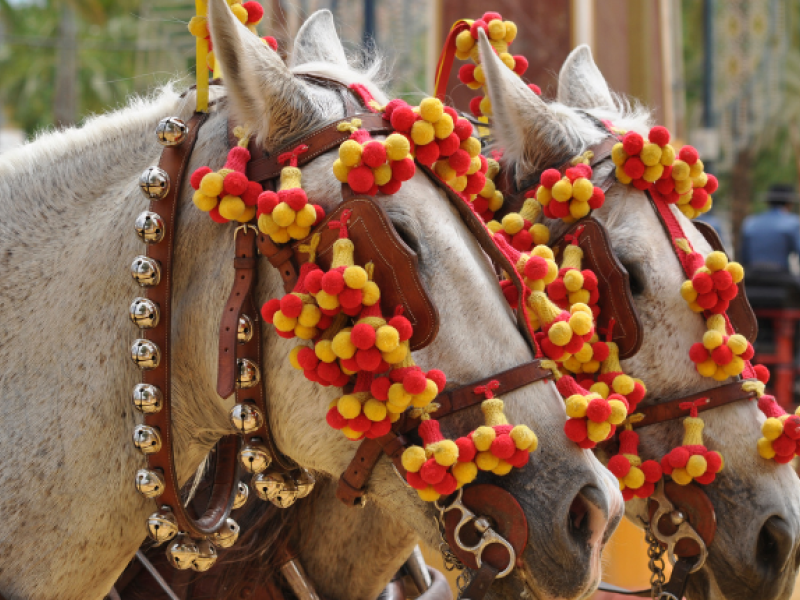 Gastronomía en la Feria del Caballo de Jerez