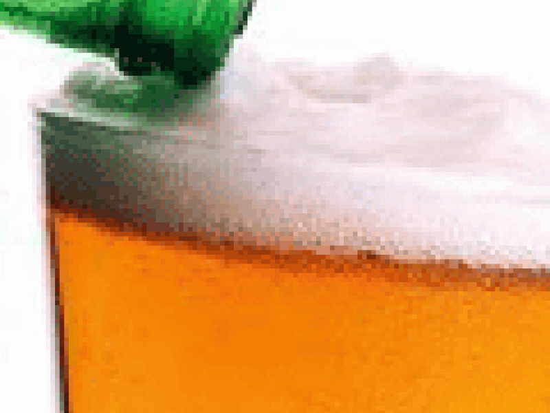 La cerveza un excelente alimento