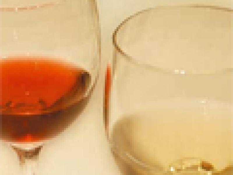 El vino, alimento y bebida del alma