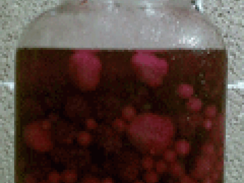 Aguardientes blancos de frutas