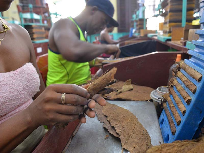 Fábricas de Habanos y prestigio