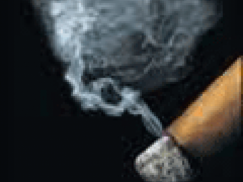 El Señor Don Habano