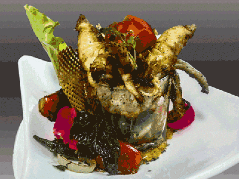 Recetas de la cocina regional santiaguera: LANGOSTA A LA PLANCHA